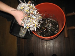 Step 9: Add shredded newspaper
