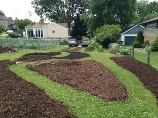 Ligonier Food Forest Installation