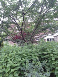 20150703_193315