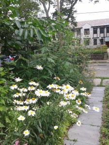 20150709_112318