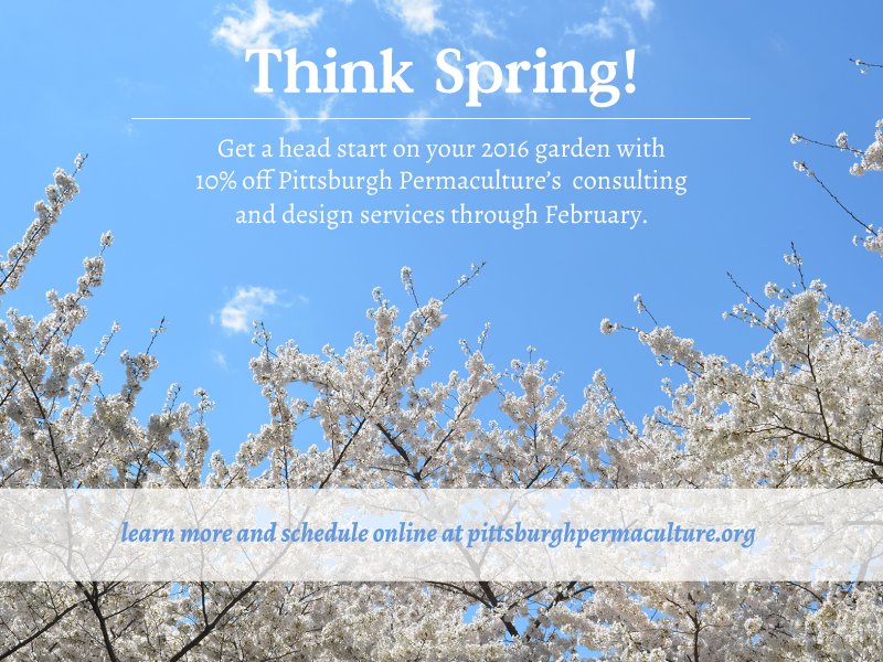 pp-thinkspring